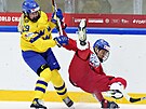 eská hokejistka Noemi Neubauerová padá po souboji se védkou Olivií...
