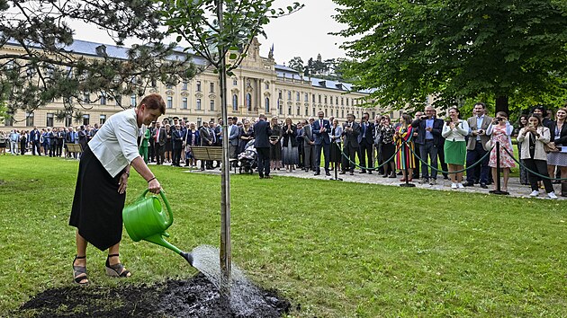 Ministryně životního prostředí Anna Hubáčková zalévala jabloň, kterou zasadil premiér Petr Fiala při slavnostním otevření zahrady Strakovy akademie, sídla vlády.
