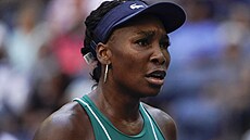 Venus Williamsová