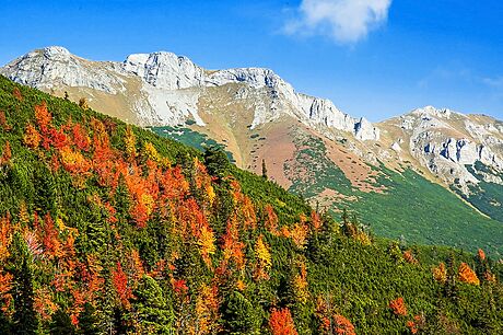 Podzim ve východních Vysokých Tatrách pináí záplavu rudnoucích list jeáb i...