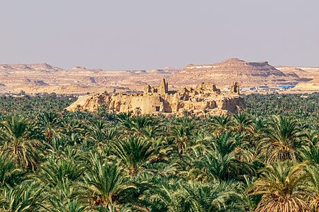 Egyptská oáza Síwa