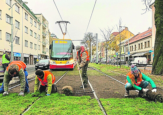 Mezi kolejemi na Bevnov rostou kvtiny. Záchranám vak pekáejí.