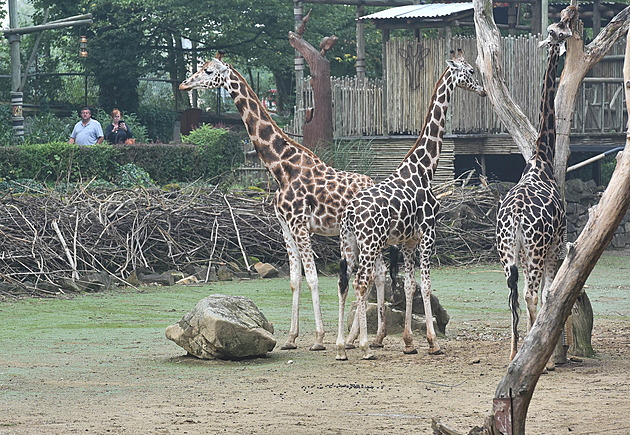 Zoo Zlín (zá�í 2022)