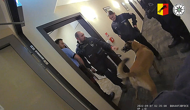 Zloděj se ukryl v hotelu pod postelí, policejní pes jej vytáhl za lýtko