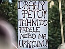Protest na Václavské námstí svolaly síly, je se hlásí k proruské orientaci,...