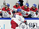 eské hokejistky slaví gól proti Finsku, stelkyní je Daniela Pejová.