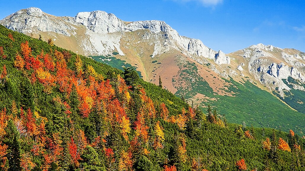 Podzim ve východních Vysokých Tatrách pináí záplavu rudnoucích list jeáb i...