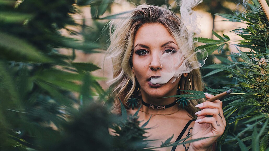 ilustra�ní snímek