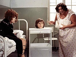 Dívka na ko�t�ti - Petra �ernocká, Jan Hru�ínský, Helena R��i�ková (1971)