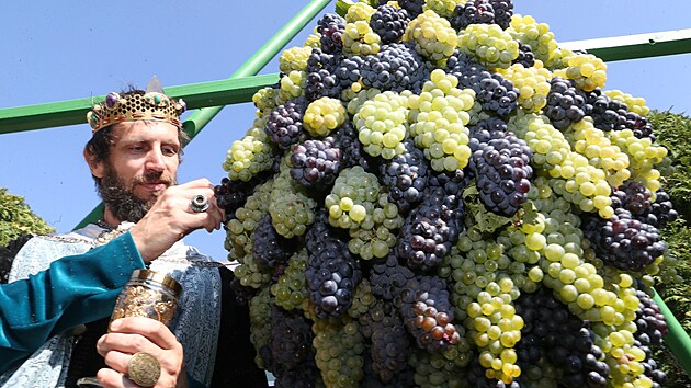 Vinobraní ve Velkých Žernosekách na Litoměřicku. (3. září 2022)