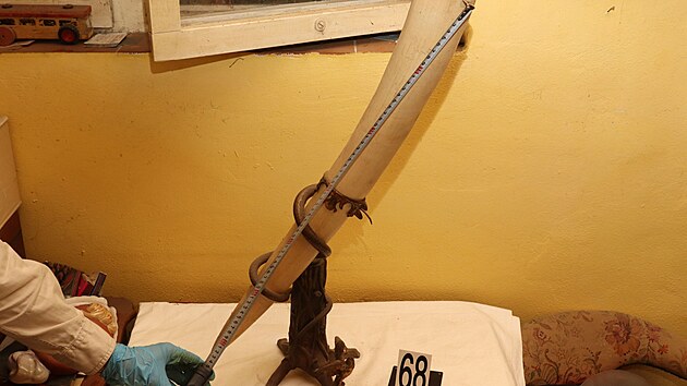 Celn�ci zabavili v plze�sk�m staro�itnictv� dva slon� kly a dal�� artefakty ze slonoviny bez pot�ebn�ch doklad�.