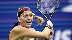 Petra Kvitová v osmifinále na US Open.