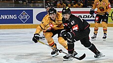 David Vitouch (42) ze Sparty v souboji s Jonasem Berglundem v zápase hokejové...