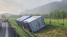 Nehoda kamionu peváejícího kon na dálnici D8.