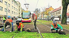 Mezi kolejemi na B�evnov� rostou kv�tiny. Záchraná��m v�ak p�eká�ejí.