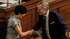 Pedsedkyn Snmovny a TOP 09 Markéta Pekarová Adamová