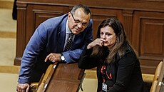 Stínová ministryn� kultury ANO Jaroslava Pokorná Jermanová oznámila, �e kdy� koalice prosadí navr�enou zm�nu zp�sobu volby �len� Rady �T a rozd�lí ji mezi ob� komory parlamentu, obrátí se ANO se stí�ností na Ústavní soud.