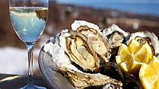 Ústicová farma na Ukrajin Scythia