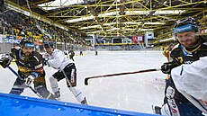 Litvínov bude hrát od nové sezony na zúžené ledové ploše.