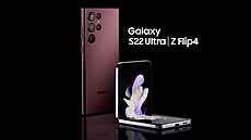 Buckle Up   Galaxy S22 Ultra & Z Flip4