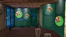 Nová podoba náv�t�vnické �ásti zrekonstruovaného pavilonu opic v liberecké zoo