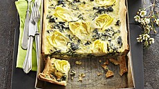 K�ehk� kol�� s arty�oky, listov�m �pen�tem a mozzarellou