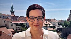 Ivana Solaová vede kandidátku hnutí ANO.