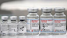 Vakcíny od společností BioNTech-Pfizer a Moderna. (25. února 2021)