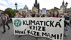 Stávka za klima, kterou uspořádalo studentské ekologické hnutí Fridays for...