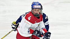 eská hokejistka Daniela Pejová v zápase s Finskem
