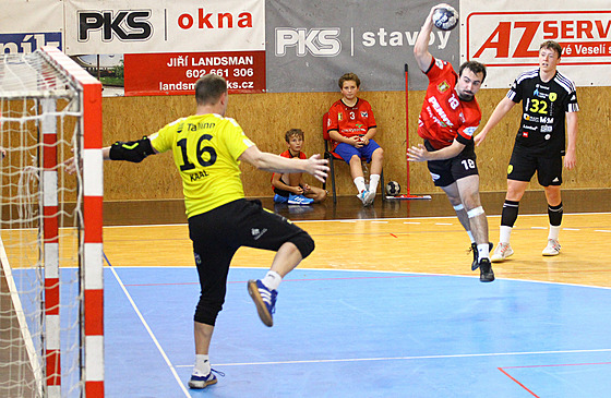 Házená, EHF Cup, Nové Veselí (v ervených dresech) versus HC Tallinn.