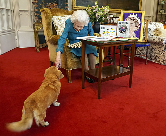 Královna Alžběta s Candy v pokoji na hradě Windsor na snímku z dubna 2022....