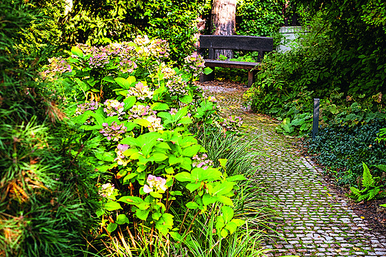 ilustra�ní snímek