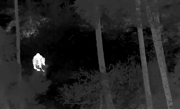 Houbařka zabloudila v lese, vrtulník ji našel termovizí půl kilometru od domu