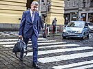 U Mstského soudu v Praze pokrauje tetí den jednání o kauze apí hnízdo s...