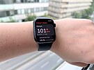 Apple Watch Series 8