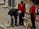 Princ Andrew a corgiové královny Al�b�ty II. Muick a Sandy v den poh�bu britské...