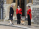 Princ Andrew a corgiové královny Al�b�ty II. Muick a Sandy v den poh�bu britské...