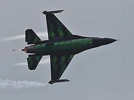 Dny NATO a  Dny Vzdu�ných sil Armády �R probíhají o víkendu na mo�novském...