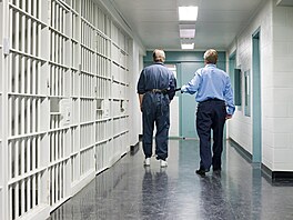 ilustra�ní snímek