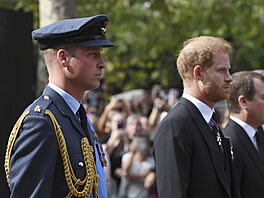 Princ William a princ Harry v prvodu za rakví s ostatky královny Albty II....