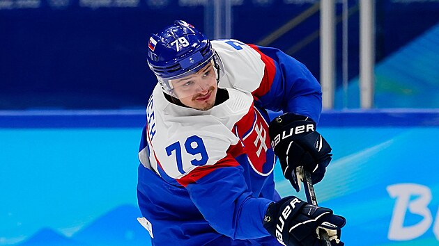 tonk Libor Hudek v dresu slovensk hokejov reprezentace.