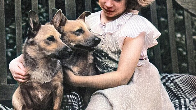 Princezna Alžběta z Yorku (později královna Alžběta II.) se dvěma svými psy plemene corgi v roce 1936