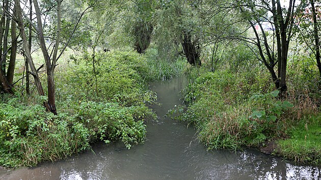 Pekeln� rybn�k na okraji Vejprnic (14. 9. 2022)