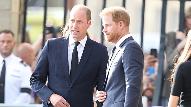 Princ William a princ Harry (Windsor, 10. z 2022)