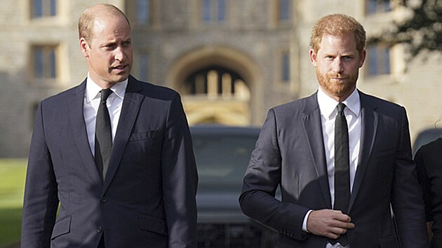 Princ William a princ Harry (Windsor, 10. z 2022)