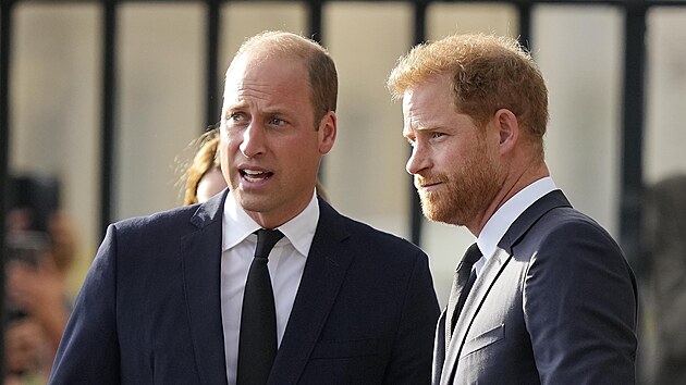 Princ William a princ Harry (Windsor, 10. z 2022)