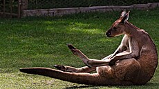 ilustra�ní snímek