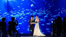 Svatební obřad v akváriu Šikoku ve městě Utazu v prefektuře Kagawa. Sále více...
