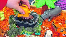 Odborníci radí jídlo drtit, mixovat i házet